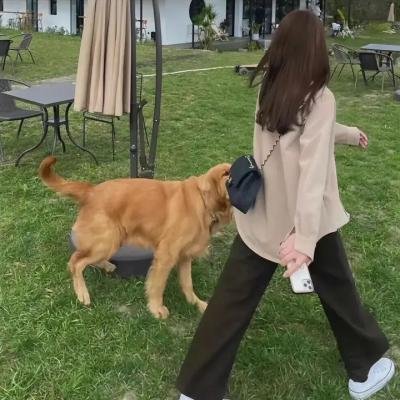 邪恶夫人